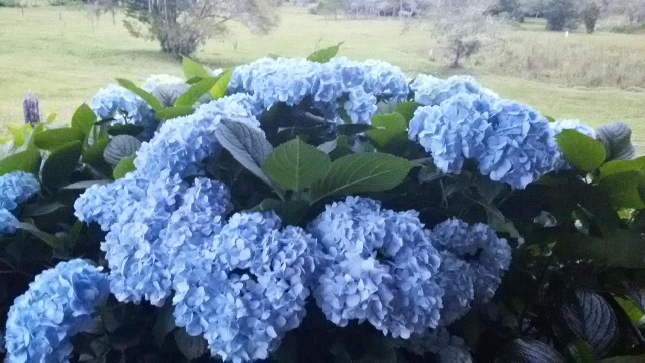 Recanto Da Natureza, Chale Gonçalves Exteriér fotografie