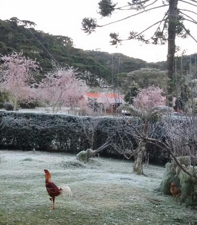 Recanto Da Natureza, Chale Gonçalves Exteriér fotografie