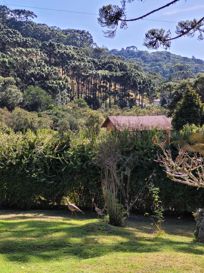 Recanto Da Natureza, Chale Gonçalves Exteriér fotografie